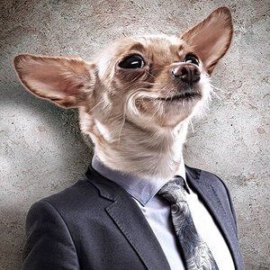 Meet your Posher, John